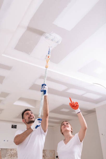 Best Mold Removal for HVAC Installations  in Chleston, AR