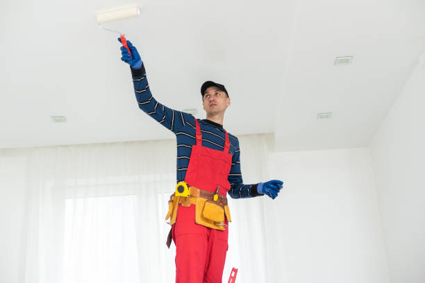 Best Industrial Mold Remediation  in Chleston, AR