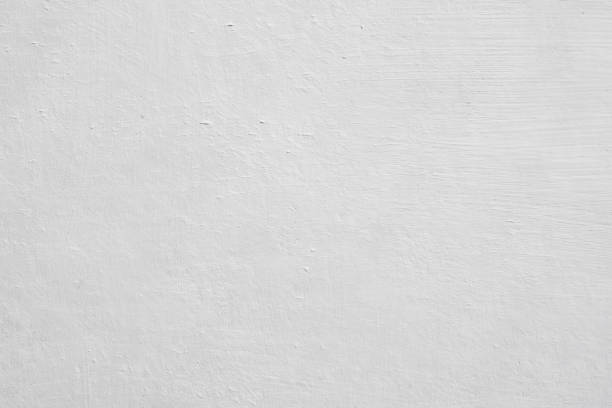 Best Attic Mold Removal  in Chleston, AR