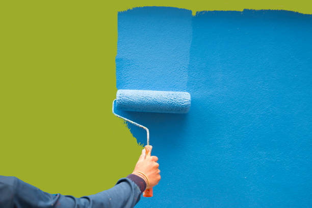 Best Basement Mold Removal  in Chleston, AR